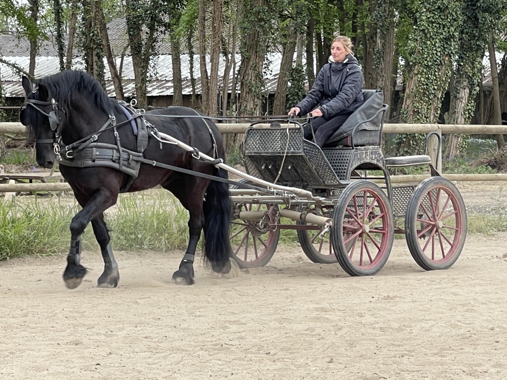 Zadig de Selincourt