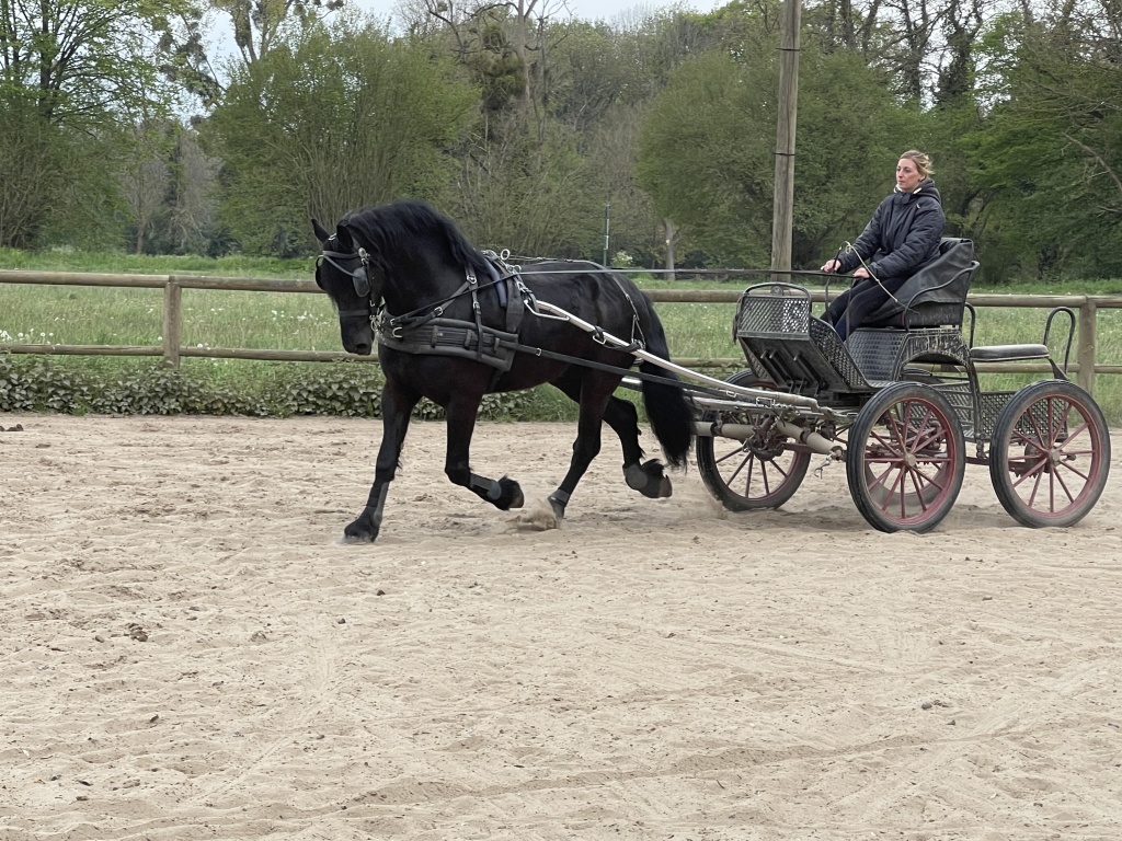 Zadig de Selincourt
