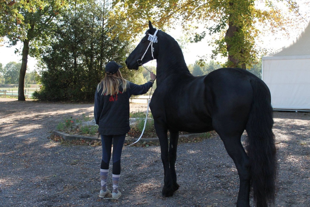 Kleber de Selincourt