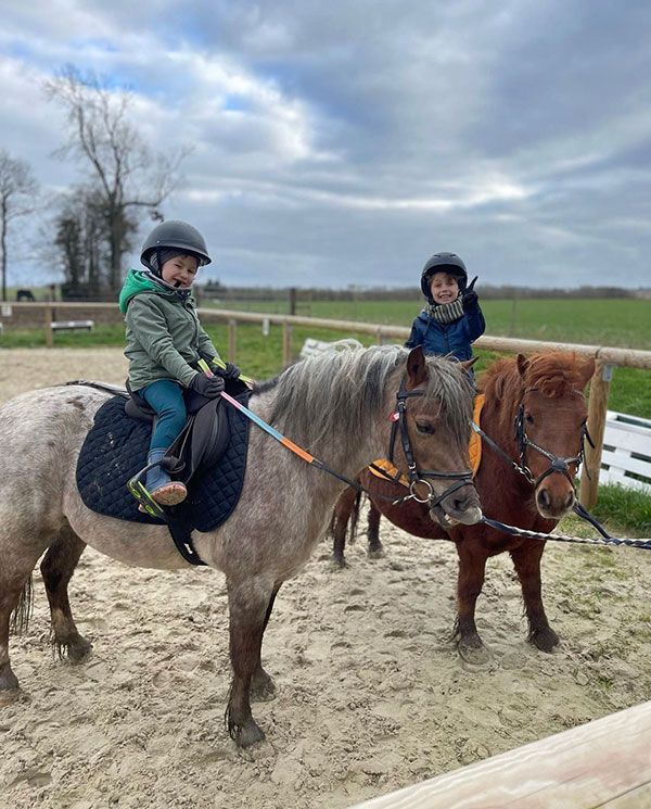 Poneys