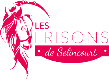 Les Frisons de Selincourt